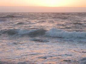 IMG_0871.JPG